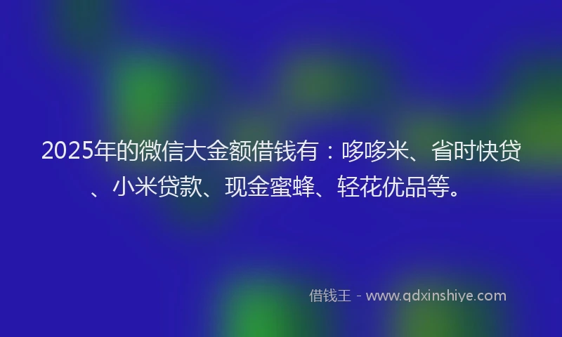 2025年的微信大金额借钱有：哆哆米、省时快贷、小米贷款、现金蜜蜂、轻花优品等。