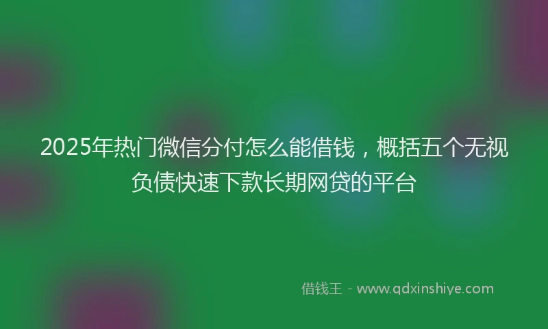2025年热门微信分付怎么能借钱，概括五个无视负债快速下款长期网贷的平台