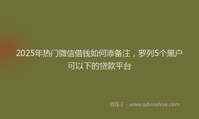 2025年热门微信借钱如何添备注，罗列5个黑户可以下的贷款平台
