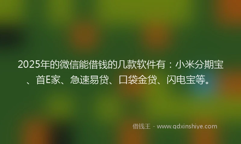 2025年的微信能借钱的几款软件有：小米分期宝、首E家、急速易贷、口袋金贷、闪电宝等。