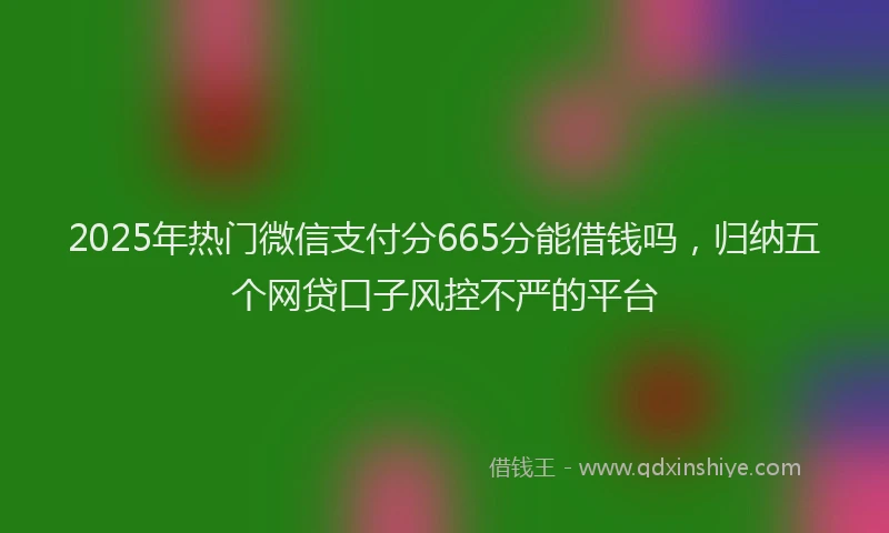 2025年热门微信支付分665分能借钱吗，归纳五个网贷口子风控不严的平台