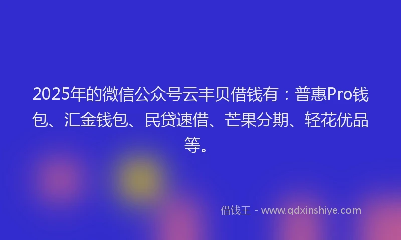 2025年的微信公众号云丰贝借钱有：普惠Pro钱包、汇金钱包、民贷速借、芒果分期、轻花优品等。