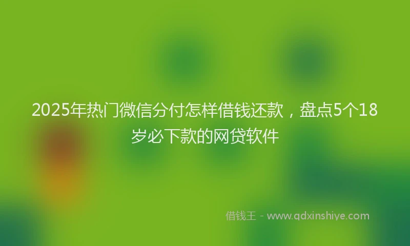 2025年热门微信分付怎样借钱还款，盘点5个18岁必下款的网贷软件