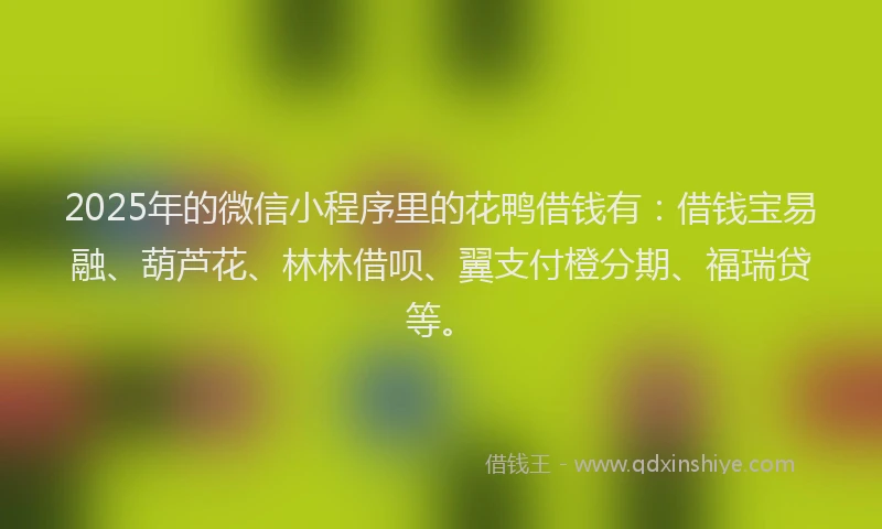 2025年的微信小程序里的花鸭借钱有：借钱宝易融、葫芦花、林林借呗、翼支付橙分期、福瑞贷等。