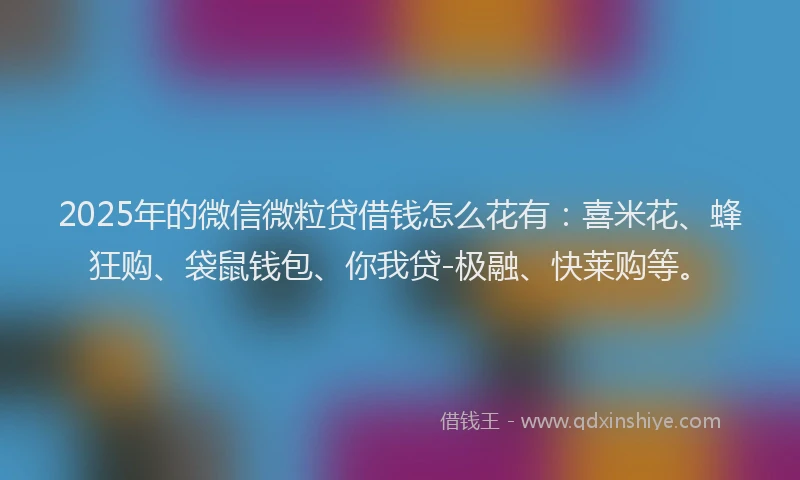 2025年的微信微粒贷借钱怎么花有：喜米花、蜂狂购、袋鼠钱包、你我贷-极融、快莱购等。