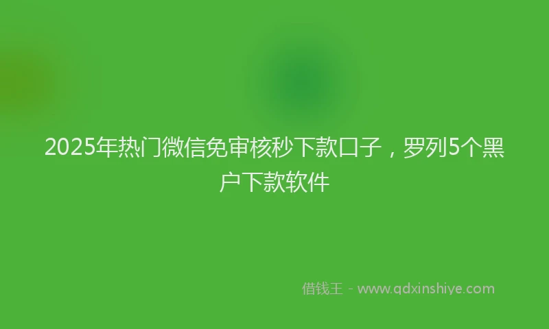 2025年热门微信免审核秒下款口子，罗列5个黑户下款软件