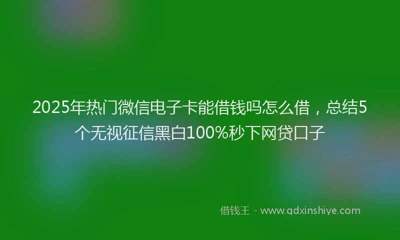2025年热门微信电子卡能借钱吗怎么借，总结5个无视征信黑白100%秒下网贷口子