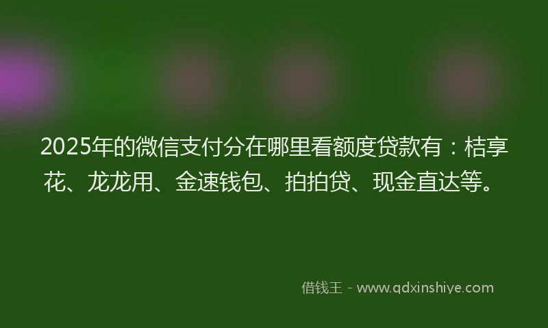2025年的微信支付分在哪里看额度贷款有：桔享花、龙龙用、金速钱包、拍拍贷、现金直达等。