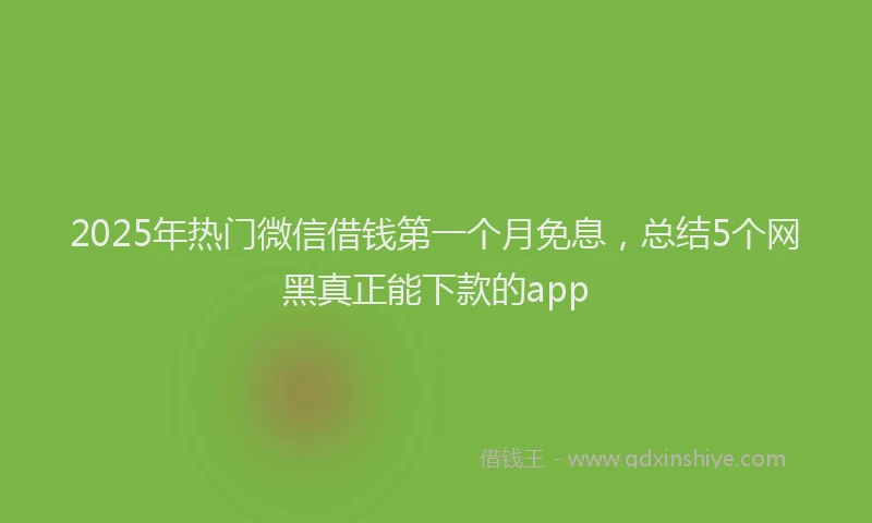 2025年热门微信借钱第一个月免息，总结5个网黑真正能下款的app