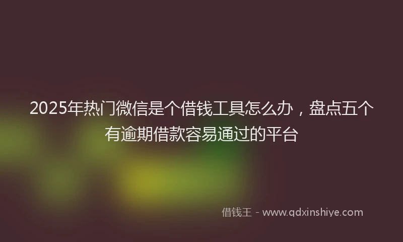 2025年热门微信是个借钱工具怎么办，盘点五个有逾期借款容易通过的平台