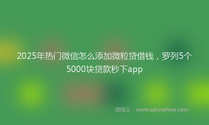 2025年热门微信怎么添加微粒贷借钱，罗列5个5000块贷款秒下app