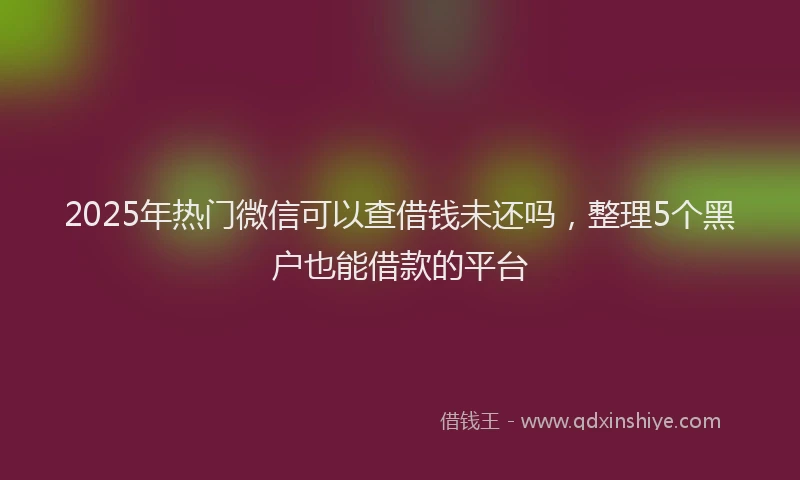 2025年热门微信可以查借钱未还吗，整理5个黑户也能借款的平台