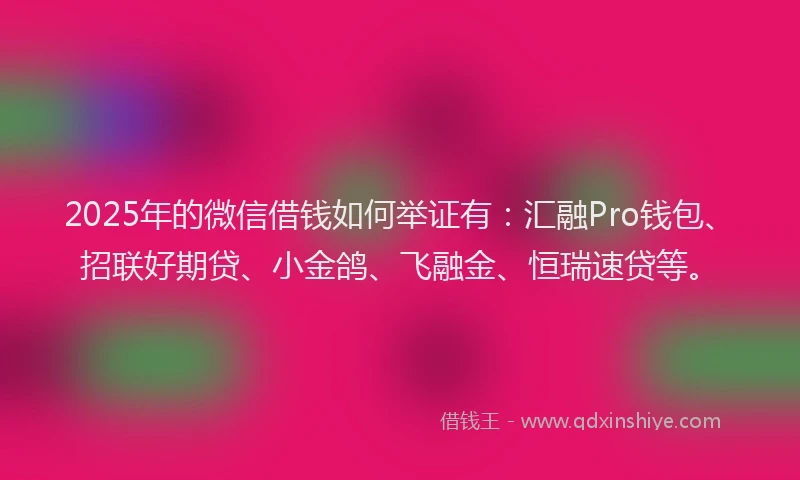 2025年的微信借钱如何举证有：汇融Pro钱包、招联好期贷、小金鸽、飞融金、恒瑞速贷等。
