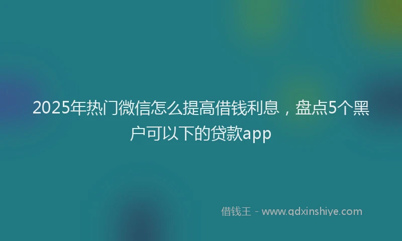 2025年热门微信怎么提高借钱利息，盘点5个黑户可以下的贷款app