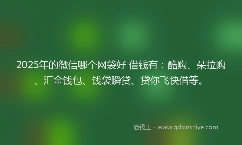 2025年的微信哪个网袋好 借钱有：酷购、朵拉购、汇金钱包、钱袋瞬贷、贷你飞快借等。