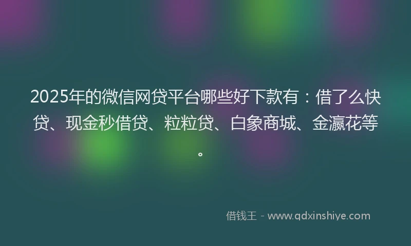 2025年的微信网贷平台哪些好下款有：借了么快贷、现金秒借贷、粒粒贷、白象商城、金瀛花等。