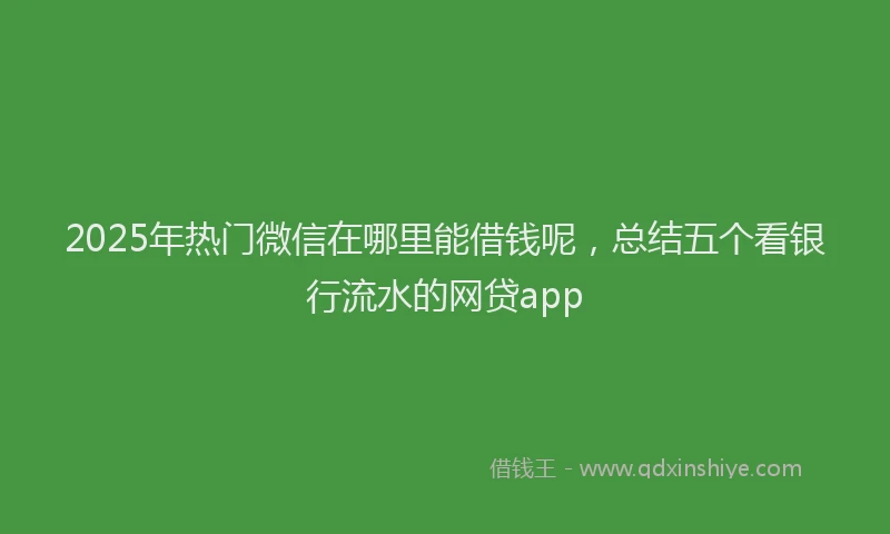 2025年热门微信在哪里能借钱呢，总结五个看银行流水的网贷app