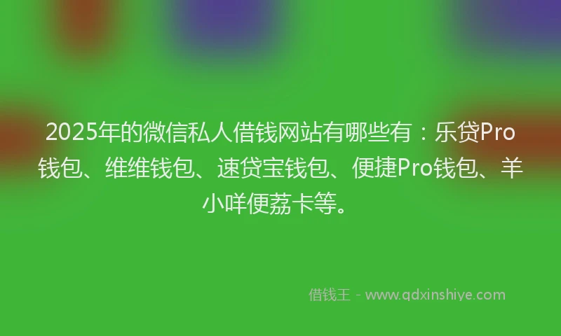 2025年的微信私人借钱网站有哪些有：乐贷Pro钱包、维维钱包、速贷宝钱包、便捷Pro钱包、羊小咩便荔卡等。