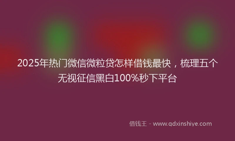 2025年热门微信微粒贷怎样借钱最快，梳理五个无视征信黑白100%秒下平台