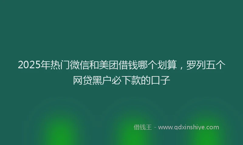 2025年热门微信和美团借钱哪个划算，罗列五个网贷黑户必下款的口子