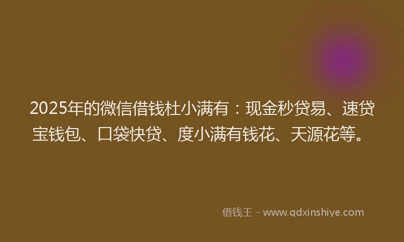 2025年的微信借钱杜小满有：现金秒贷易、速贷宝钱包、口袋快贷、度小满有钱花、天源花等。