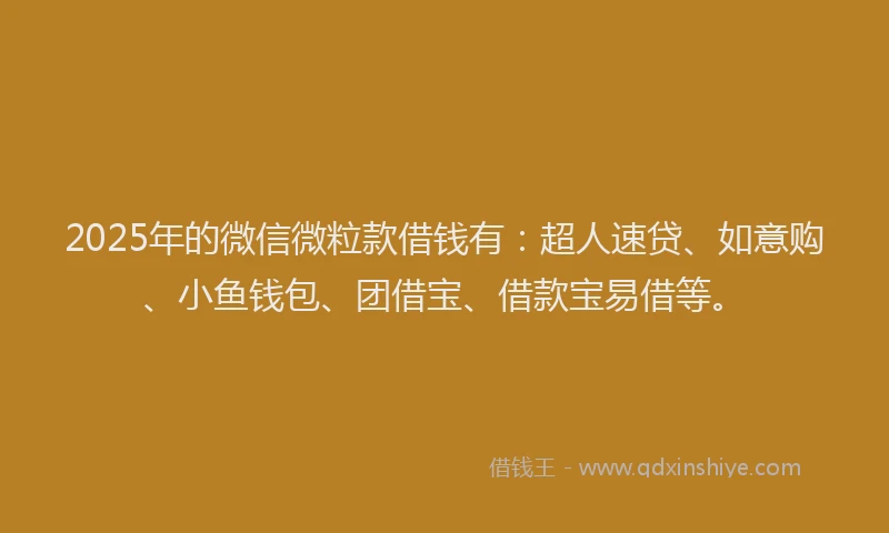 2025年的微信微粒款借钱有：超人速贷、如意购、小鱼钱包、团借宝、借款宝易借等。