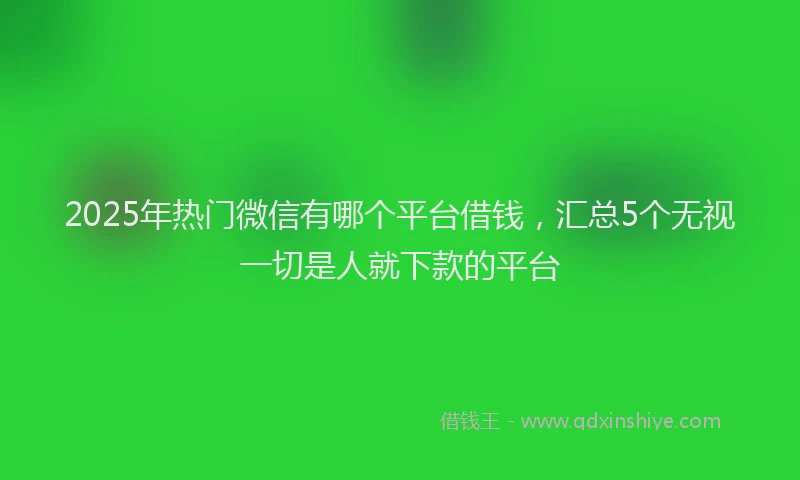 2025年热门微信有哪个平台借钱，汇总5个无视一切是人就下款的平台