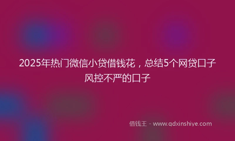 2025年热门微信小贷借钱花，总结5个网贷口子风控不严的口子