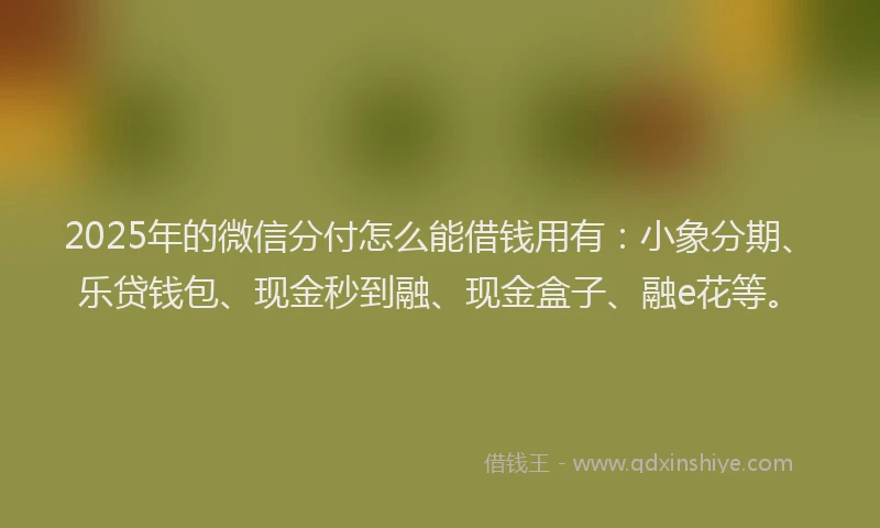 2025年的微信分付怎么能借钱用有：小象分期、乐贷钱包、现金秒到融、现金盒子、融e花等。