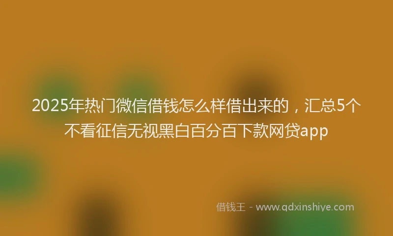 2025年热门微信借钱怎么样借出来的，汇总5个不看征信无视黑白百分百下款网贷app