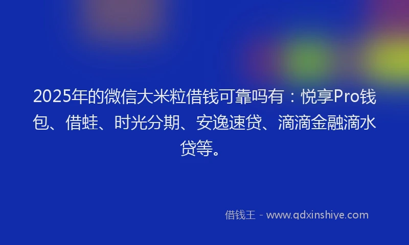 2025年的微信大米粒借钱可靠吗有：悦享Pro钱包、借蛙、时光分期、安逸速贷、滴滴金融滴水贷等。