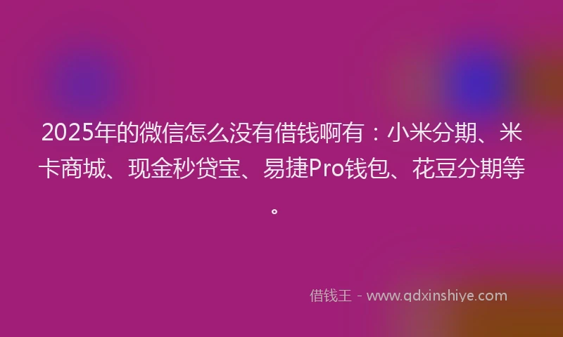 2025年的微信怎么没有借钱啊有：小米分期、米卡商城、现金秒贷宝、易捷Pro钱包、花豆分期等。