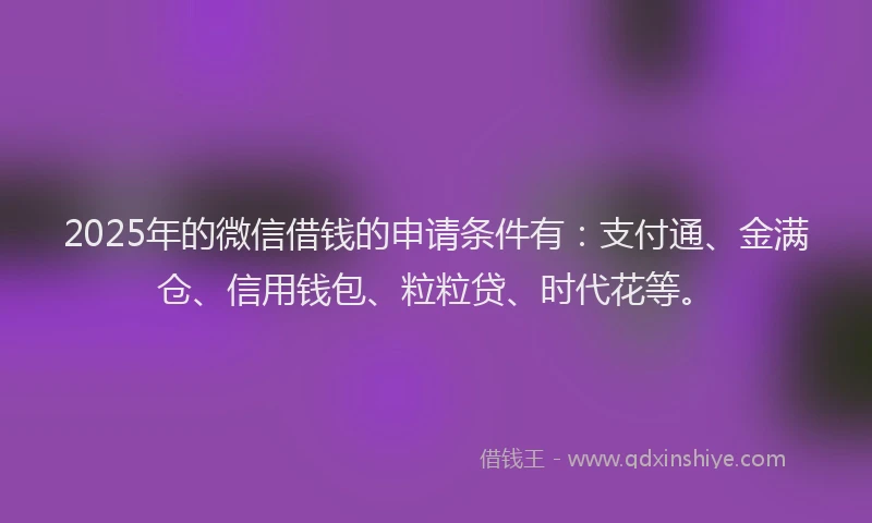 2025年的微信借钱的申请条件有：支付通、金满仓、信用钱包、粒粒贷、时代花等。