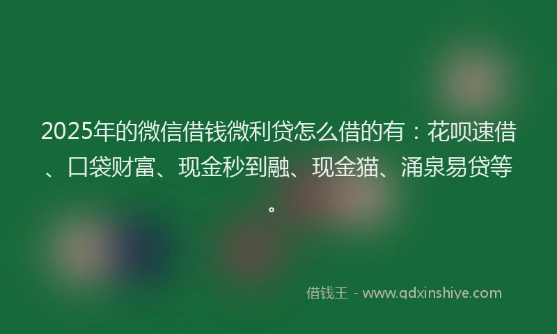 2025年的微信借钱微利贷怎么借的有：花呗速借、口袋财富、现金秒到融、现金猫、涌泉易贷等。