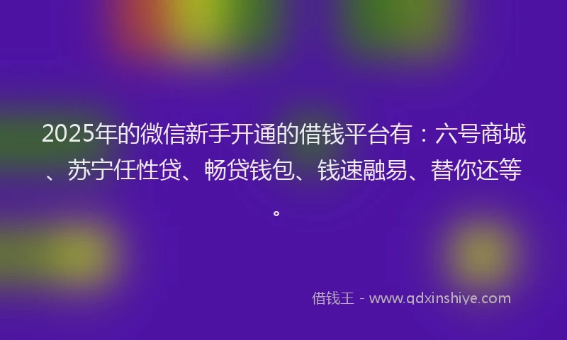 2025年的微信新手开通的借钱平台有：六号商城、苏宁任性贷、畅贷钱包、钱速融易、替你还等。