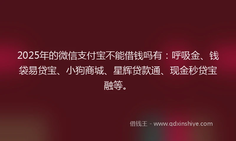 2025年的微信支付宝不能借钱吗有：呼吸金、钱袋易贷宝、小狗商城、星辉贷款通、现金秒贷宝融等。