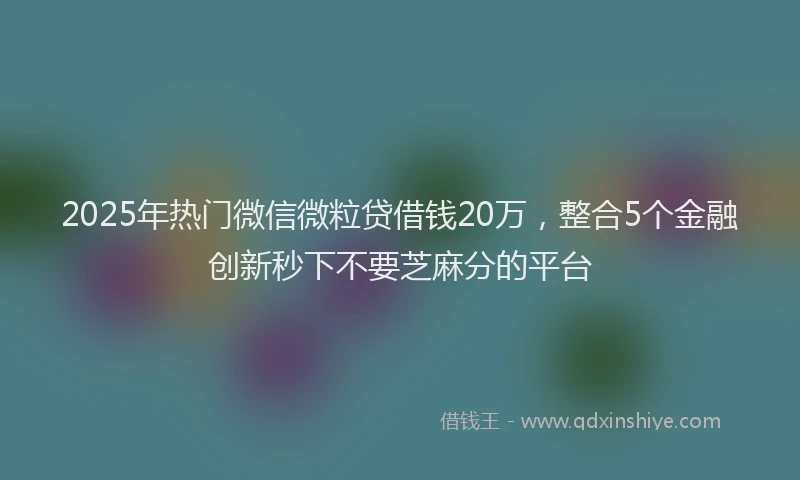 2025年热门微信微粒贷借钱20万，整合5个金融创新秒下不要芝麻分的平台