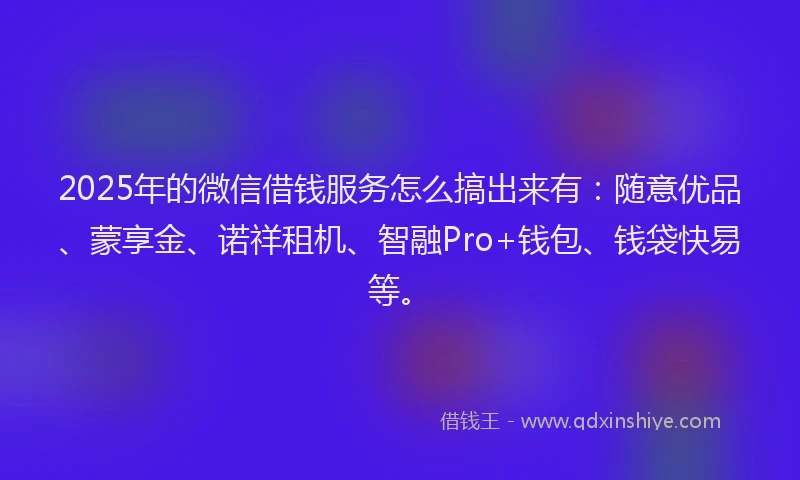 2025年的微信借钱服务怎么搞出来有：随意优品、蒙享金、诺祥租机、智融Pro+钱包、钱袋快易等。