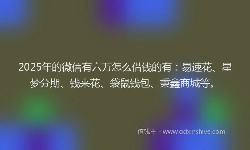 2025年的微信有六万怎么借钱的有：易速花、星梦分期、钱来花、袋鼠钱包、秉鑫商城等。