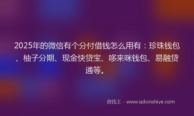 2025年的微信有个分付借钱怎么用有：珍珠钱包、柚子分期、现金快贷宝、哆来咪钱包、易融贷通等。