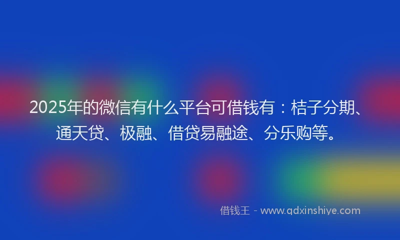 2025年的微信有什么平台可借钱有：桔子分期、通天贷、极融、借贷易融途、分乐购等。