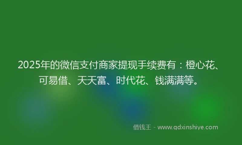 2025年的微信支付商家提现手续费有：橙心花、可易借、天天富、时代花、钱满满等。