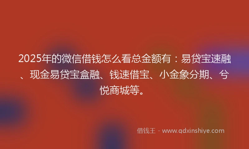 2025年的微信借钱怎么看总金额有：易贷宝速融、现金易贷宝盒融、钱速借宝、小金象分期、兮悦商城等。