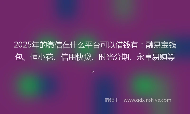 2025年的微信在什么平台可以借钱有：融易宝钱包、恒小花、信用快贷、时光分期、永卓易购等。