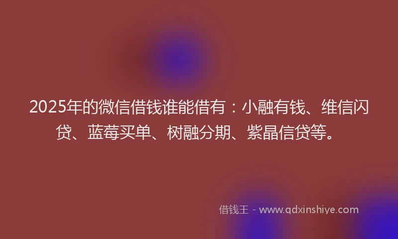 2025年的微信借钱谁能借有：小融有钱、维信闪贷、蓝莓买单、树融分期、紫晶信贷等。