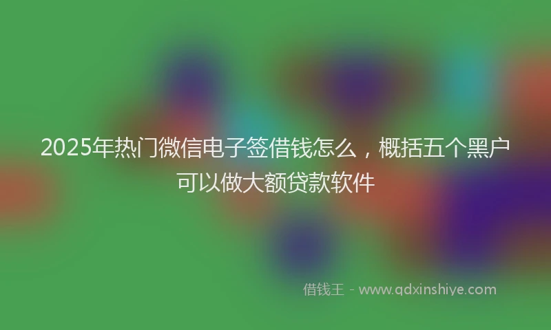 2025年热门微信电子签借钱怎么，概括五个黑户可以做大额贷款软件