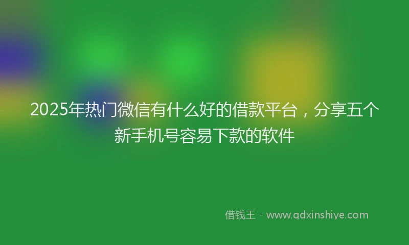 2025年热门微信有什么好的借款平台，分享五个新手机号容易下款的软件