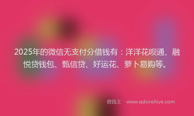 2025年的微信无支付分借钱有：洋洋花呗通、融悦贷钱包、甄信贷、好运花、萝卜易购等。