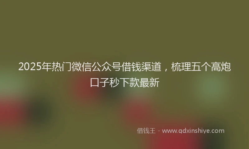 2025年热门微信公众号借钱渠道，梳理五个高炮口子秒下款最新