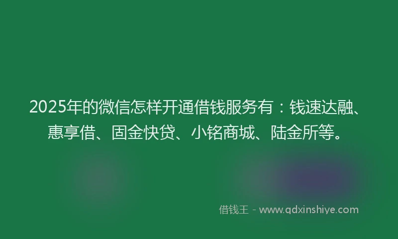 2025年的微信怎样开通借钱服务有：钱速达融、惠享借、固金快贷、小铭商城、陆金所等。